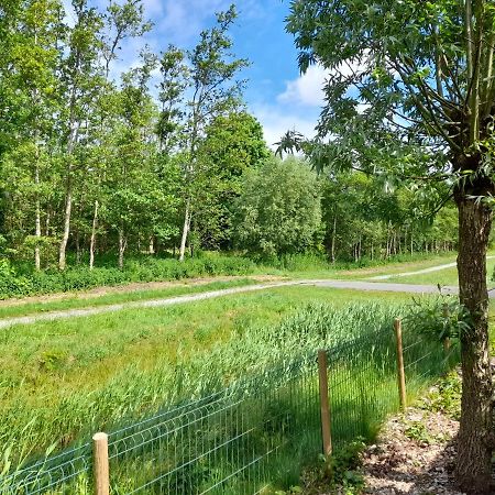 Wellnesshuis Met Hottub, Ligbad En Grote Tuin Villa Tzummarum Kültér fotó